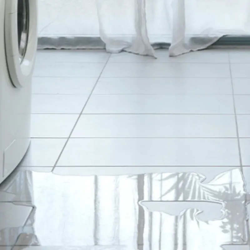 Appliance Leak Cleanup in Chase County, NE