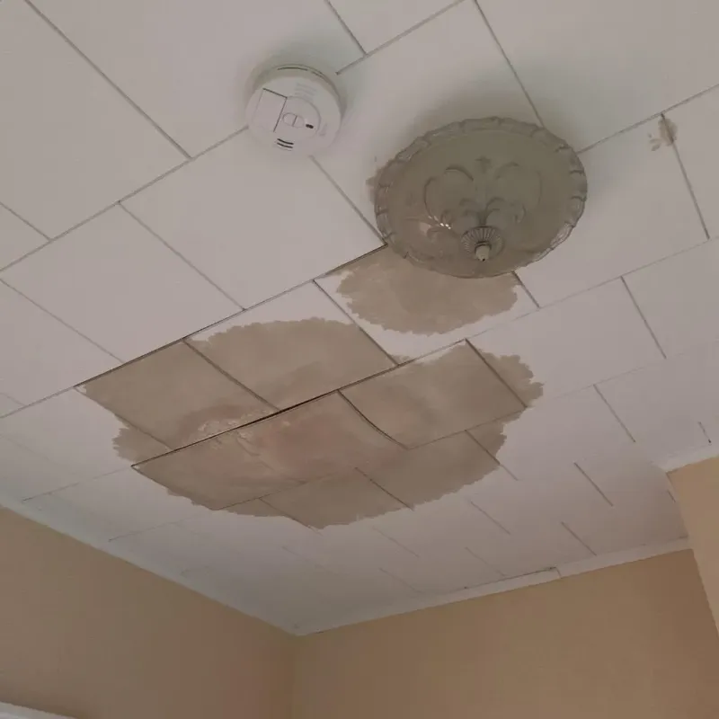 Ceiling Water Damage Repair in Chase County, NE