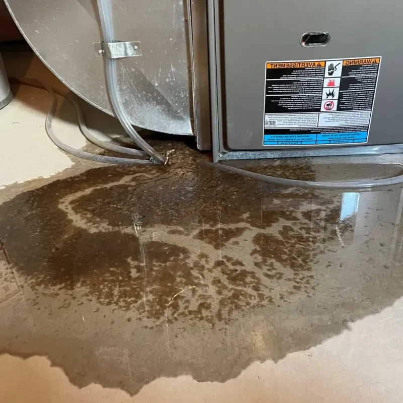 Pipe Burst and Leak Restoration in Chase County, NE