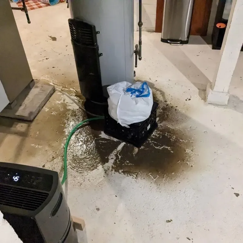 Sewage Backup Cleanup Service in Chase County, NE